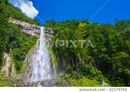 和歌山縣夏季那智瀑布 和歌山縣夏季那智瀑布 82579769