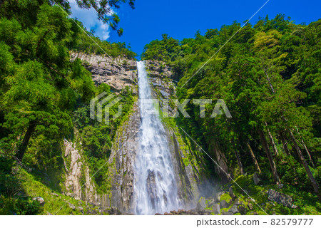 Wakayama Prefecture Summer Nachi Falls 82579777