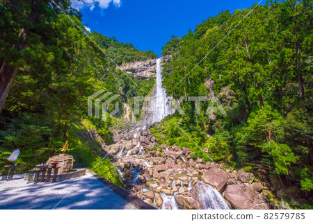 Wakayama Prefecture Summer Nachi Falls 82579785