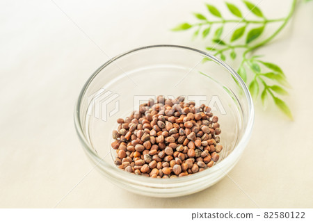 Seed of radish radish Seed of radish radish 82580122