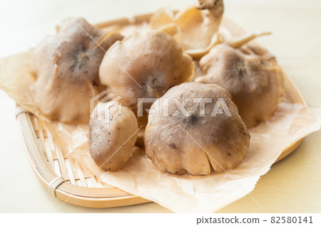 天然蘑菇 Hatakeshimeji 天然蘑菇 Hatakeshimeji 82580141