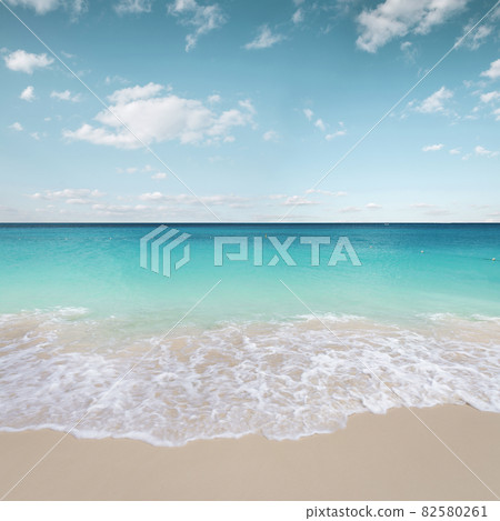 Beautiful sandy beach in tropical paradise 82580261