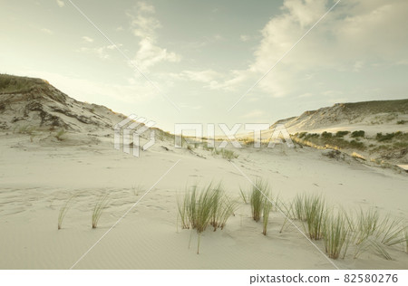 Panorama of Slowinski National Park landscape, Poland 82580276