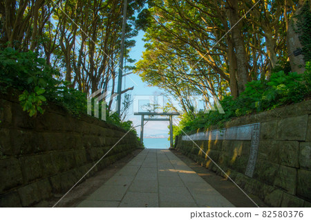 海景鳥居 82580376