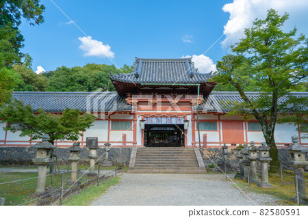 Landscape of Temuyama Hachimangu Shrine 82580591