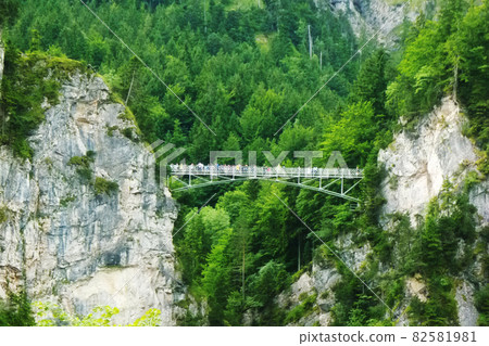 歐洲落基山脈之間的橋樑 82581981