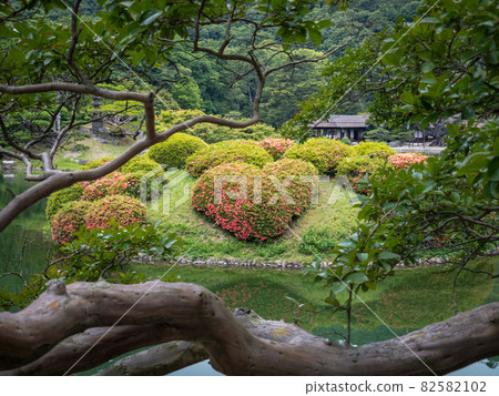 Ritsurin Garden in early summer (early June, love azalea) 82582102