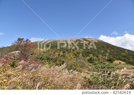 Kureihei的秋葉 82582619