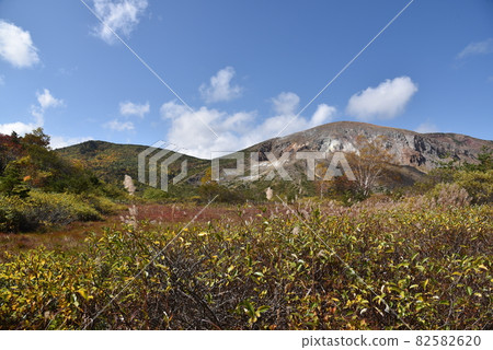 Kureihei的秋葉 82582620