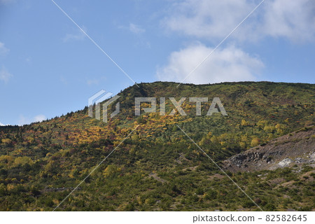Kureihei's autumn leaves 82582645