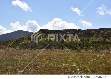 Kureihei's autumn leaves 82582648