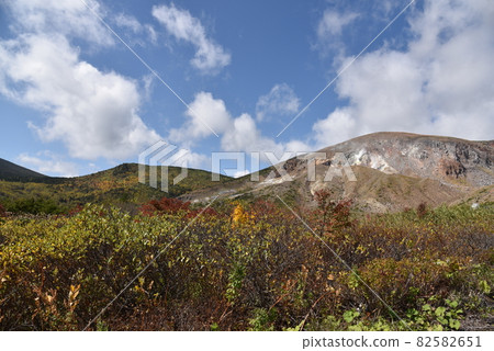 Kureihei's autumn leaves 82582651