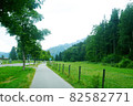 德國浪漫之路的綠色景觀 82582771