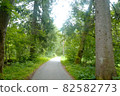 歐洲和德國的奇妙森林公路 82582773
