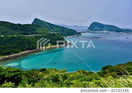 柏市海 柏市海 82583166