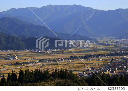 Rural scenery of Joetsu Shinkansen E4 series Max and golden Uonuma near the end 82583603