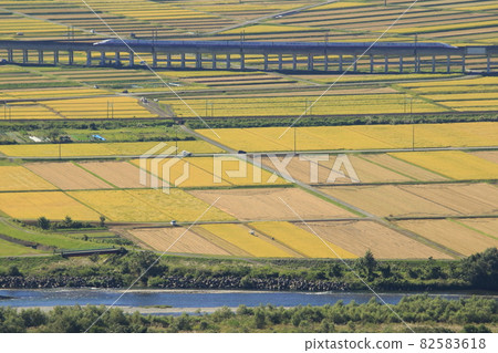 Rural scenery of Joetsu Shinkansen E4 series Max and golden Uonuma near the end Rural scenery of Joetsu Shinkansen E4 series Max and golden Uonuma near the end 82583618
