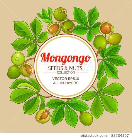 mongongo vector frame on color background mongongo vector frame on color background 82584307