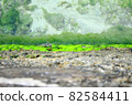 Small crab on the embankment 82584411