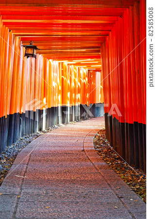 Senbon torii of Kyoto Fushimi-Inari Taisha Shrine 82585008
