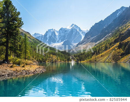 Amazing clear mountain lake in forest among fir trees in sunshine. Bright scenery with beautiful turquoise lake against the background of snow-capped mountains. Lower Shavlin Lake 82585944