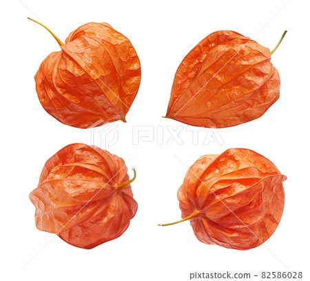 Hozuki Onikari Illustration Real Set Hozuki Onikari Illustration Real Set 82586028