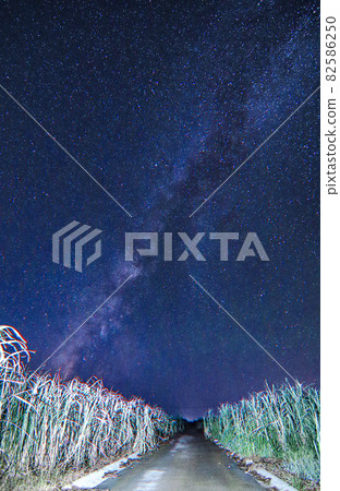 Milky Way extending from the horizon Miyakojima Milky Way extending from the horizon Miyakojima 82586250