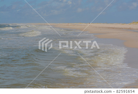 A beach of the Gulf of Mexico on Dauphin Island, Mobile County, Alabama 82591654