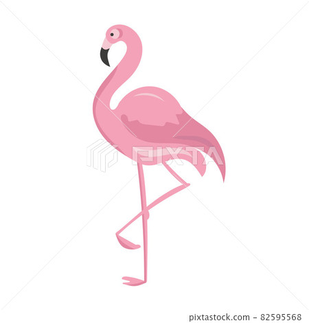 One pink flamingo isolated on white background One pink flamingo isolated on white background 82595568