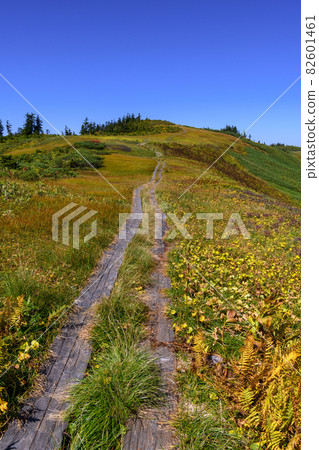Mountain trail from Mt. Aizu Komagatake to Mt. Chumondake Mountain trail from Mt. Aizu Komagatake to Mt. Chumondake 82601461