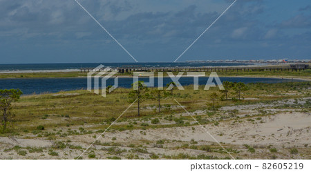 The view of Dauphin Beach and boardwalk on Dauphin Island, Mobile County, Alabama 82605219