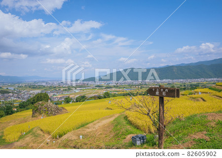 [善光寺平]侄女石和侄女梯田[秋季] 82605902
