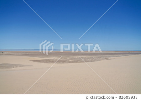 Skeleton Coast Skeleton Coast 82605935
