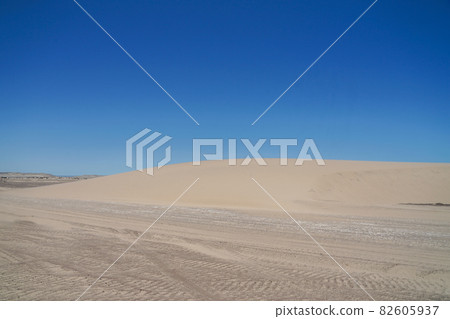 Skeleton Coast 82605937