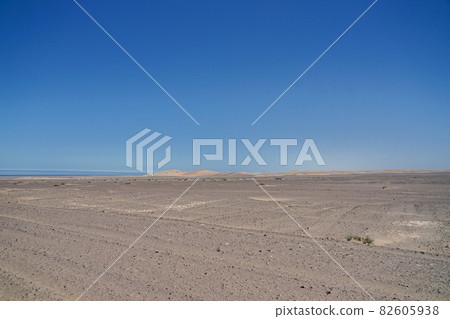 Skeleton Coast 82605938