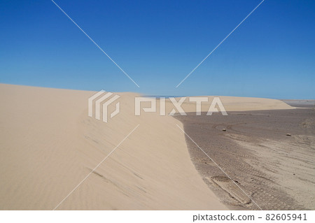 Skeleton Coast 82605941