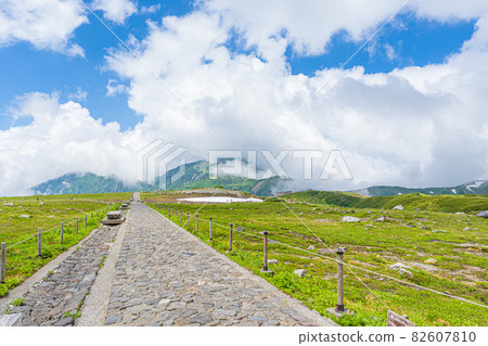 << Kurobe Tateyama, Toyama Prefecture >> Summer scenery seen from Murodo << Kurobe Tateyama, Toyama Prefecture >> Summer scenery seen from Murodo 82607810