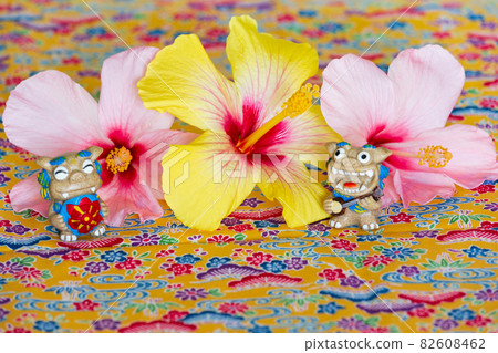 芙蓉和 Shisa 騎在 Mincer 編織上 82608462