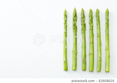 蘆筍白背 蘆筍白背 82608628