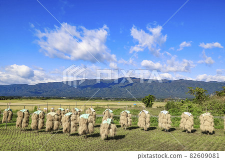 Rice Hazakake Shirataka Town Rural Scenery Rice Hazakake Shirataka Town Rural Scenery 82609081
