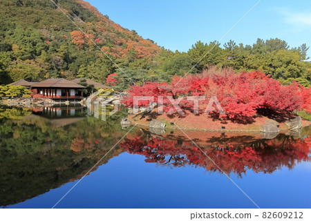 [Kagawa Prefecture] Autumn leaves, Ritsurin Garden (Special Place of Scenic) 82609212