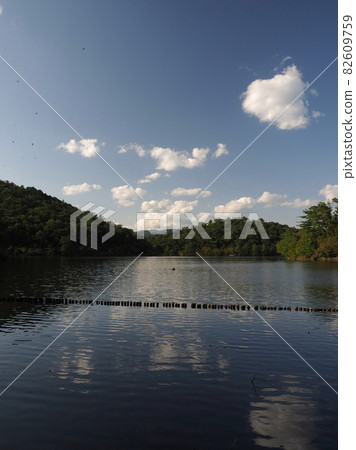 Kyoto treasure pond 82609759