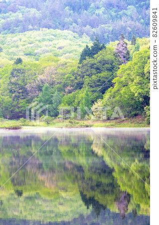 湖畔鮮綠初夏風光（安原湖） 82609841