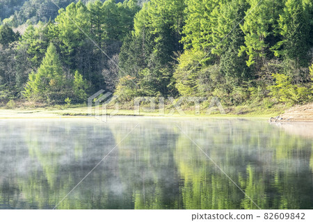 Lakeside fresh green and early summer scenery (Lake Onbara) 82609842