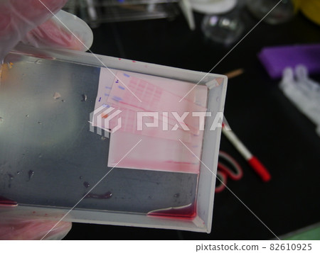 Western ink dots Western ink dots 82610925