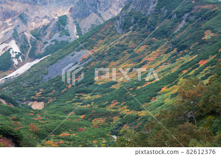[北海道上富良野町] 九月十勝岳溫泉的紅葉 82612376