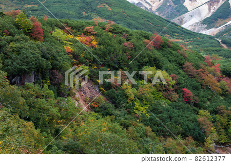 [北海道上富良野町] 秋天九月十勝岳龍雲閣的紅葉 82612377