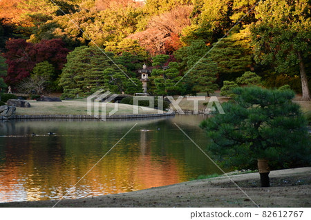 Rikugien Garden Ikezumi Strolling Garden Autumn Dusk Rikugien Garden Ikezumi Strolling Garden Autumn Dusk 82612767