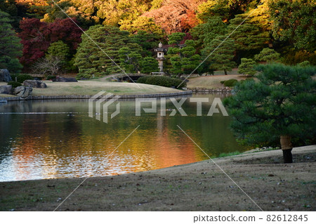 Rikugien Garden Ikezumi Strolling Garden Autumn Dusk Rikugien Garden Ikezumi Strolling Garden Autumn Dusk 82612845