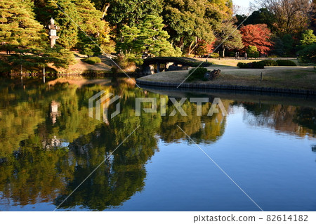 六義園池住漫步庭園秋日黃昏 六義園池住漫步庭園秋日黃昏 82614182